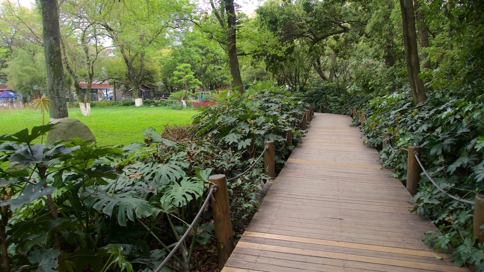 Seven-Star Park