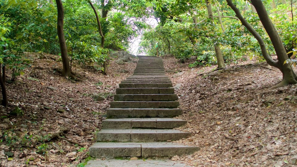 Seven-Star Park