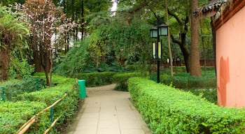 Monastère de Wenshu