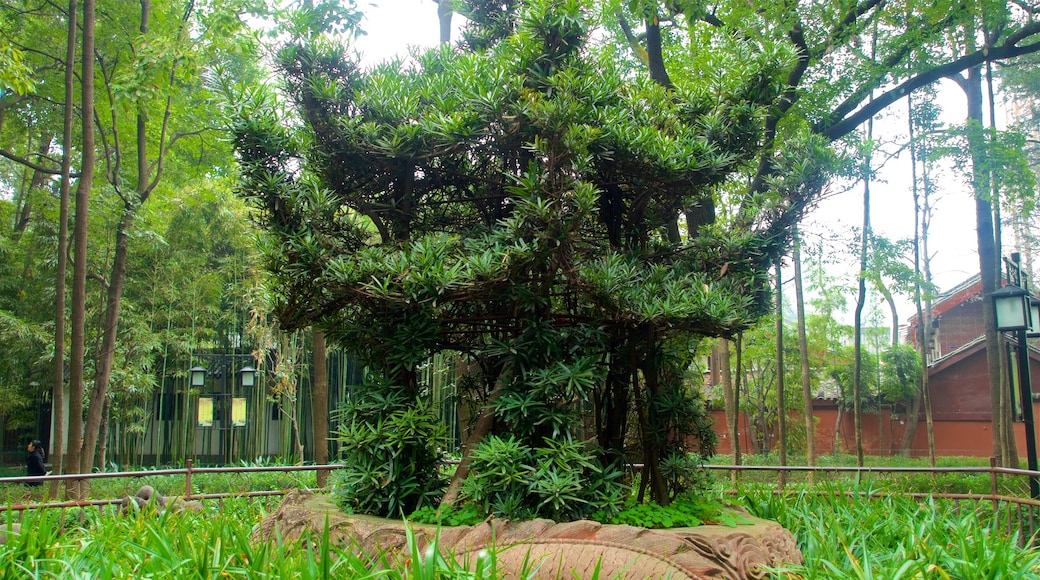 Monasterio Wenshu