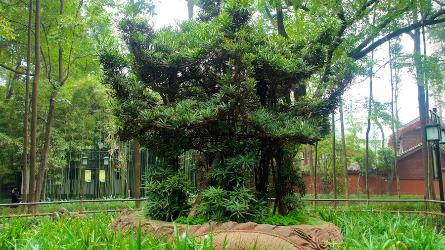 Wenshu Monastery