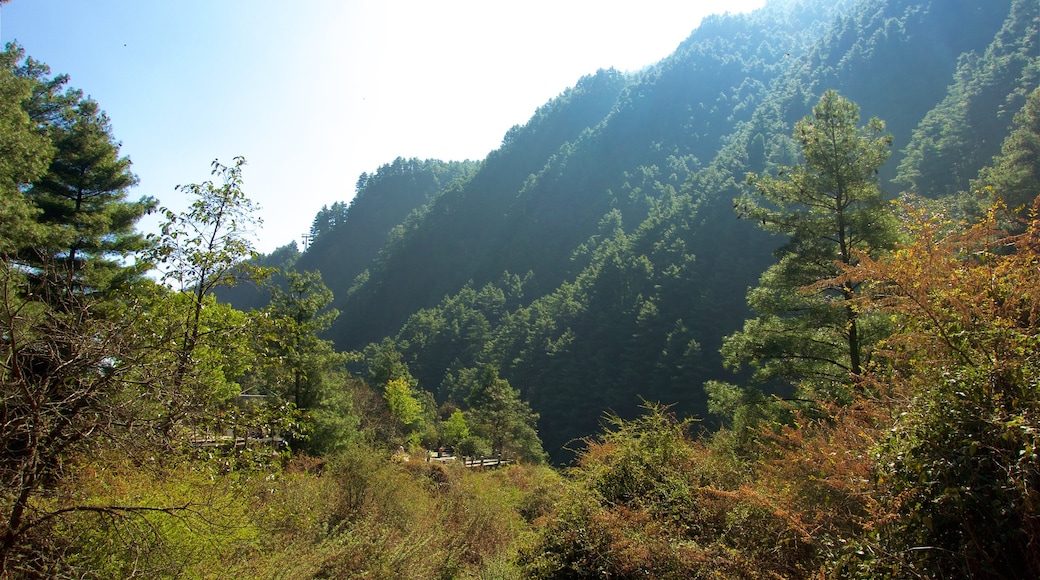 Cangshan Mountain