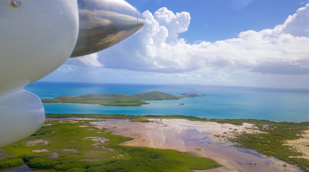 Isla de Vieques