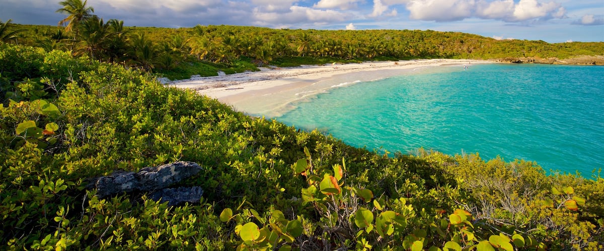 Navio Beach