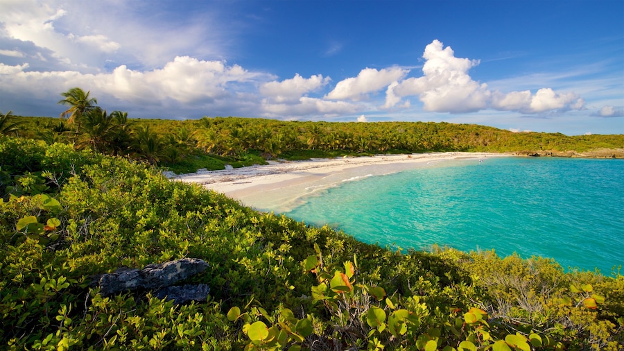 Navio Beach