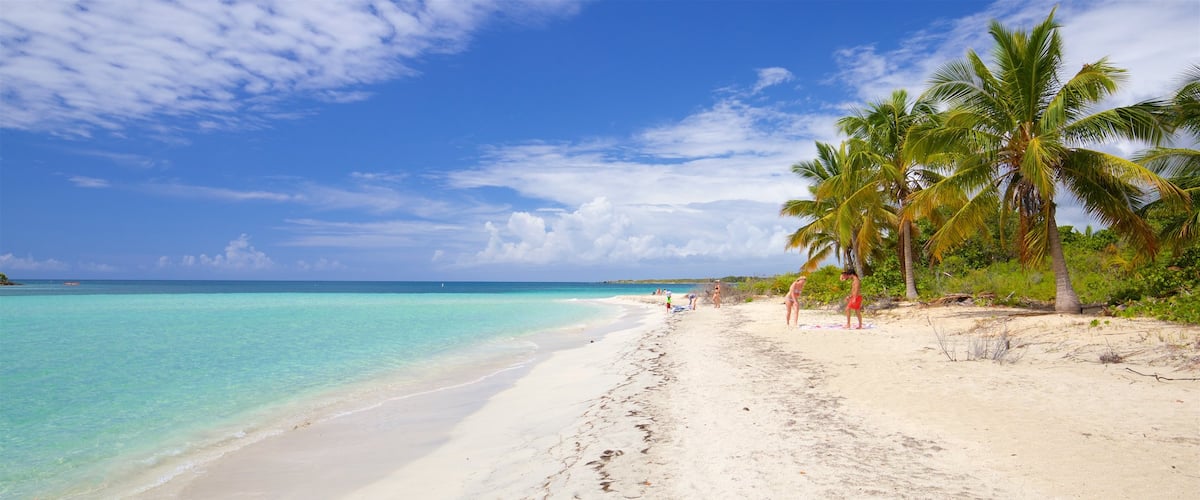 La Chiva Beach featuring a sandy beach, general coastal views and tropical scenes