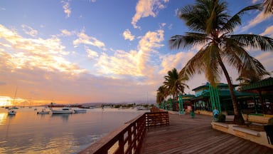 La Guancha