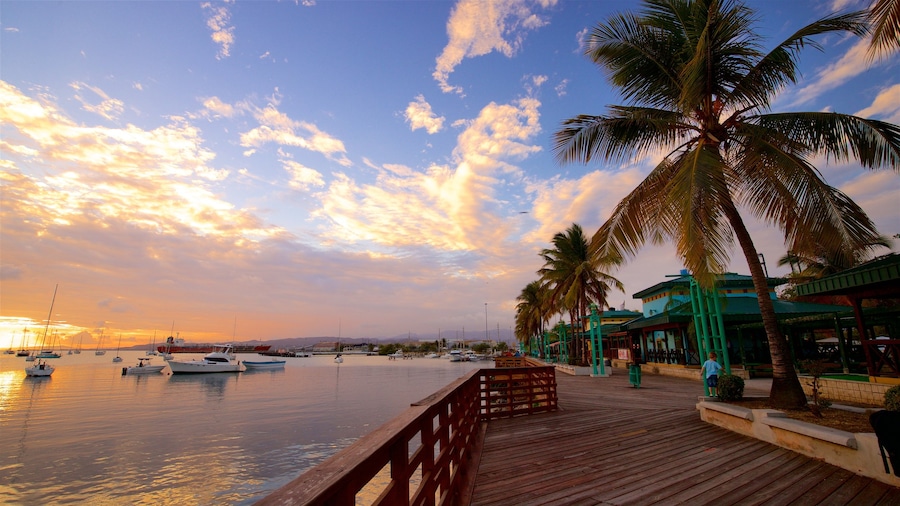 La Guancha