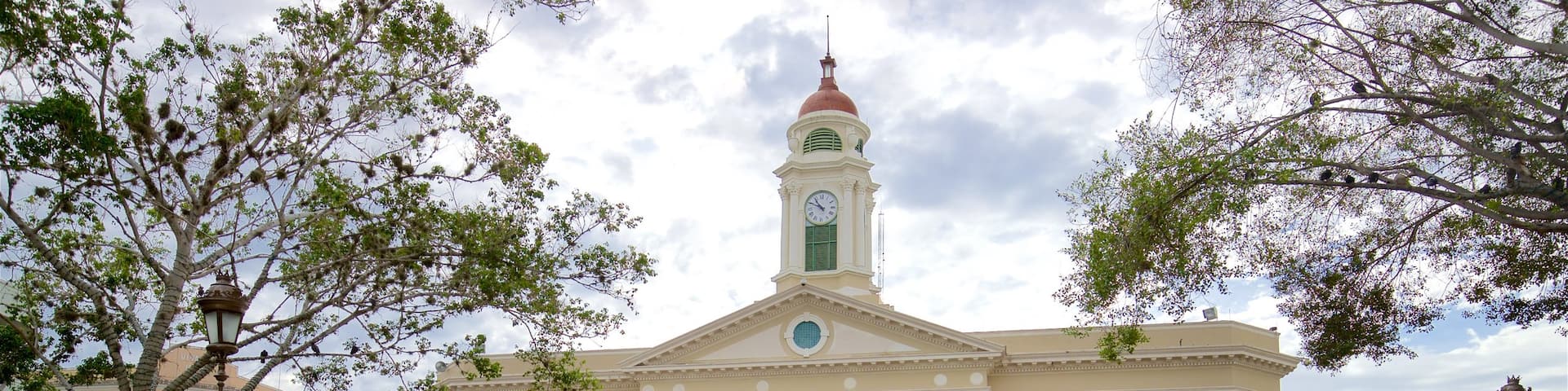 Plaza Colón
