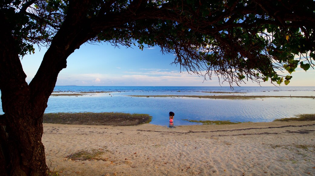 La Guancha