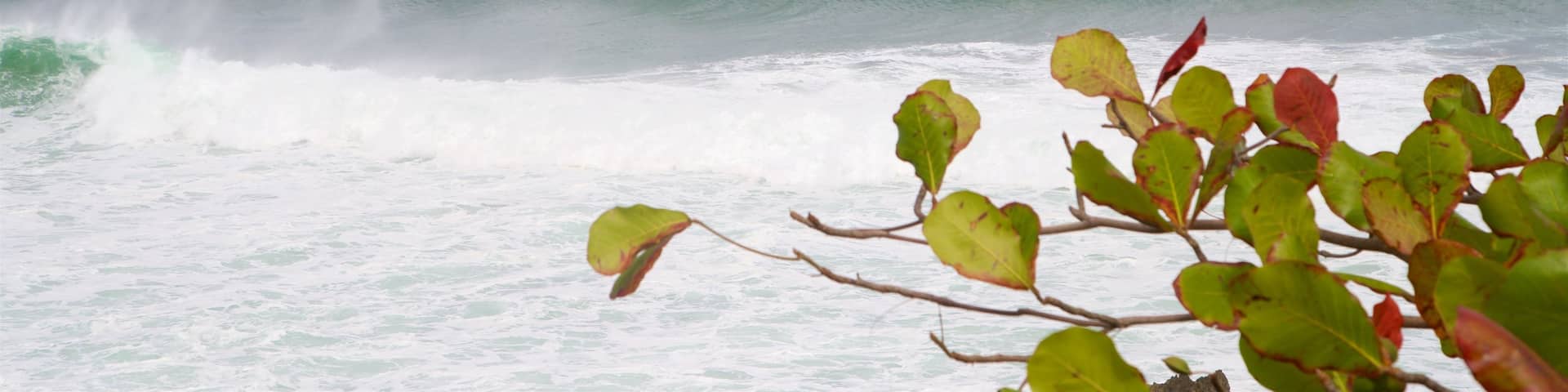 Punta Higuero Light showing waves and general coastal views