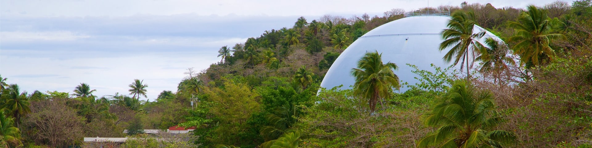 Domes Beach