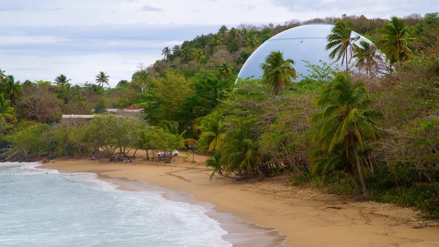 Domes Beach