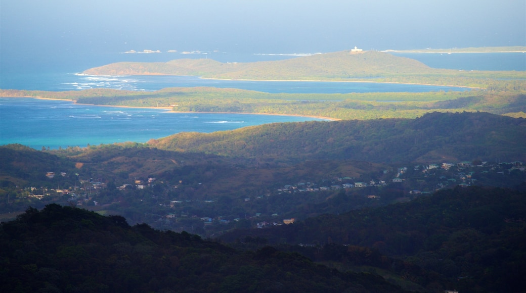 Yokahu Tower