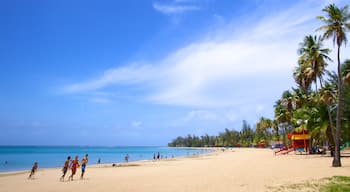 Luquillo