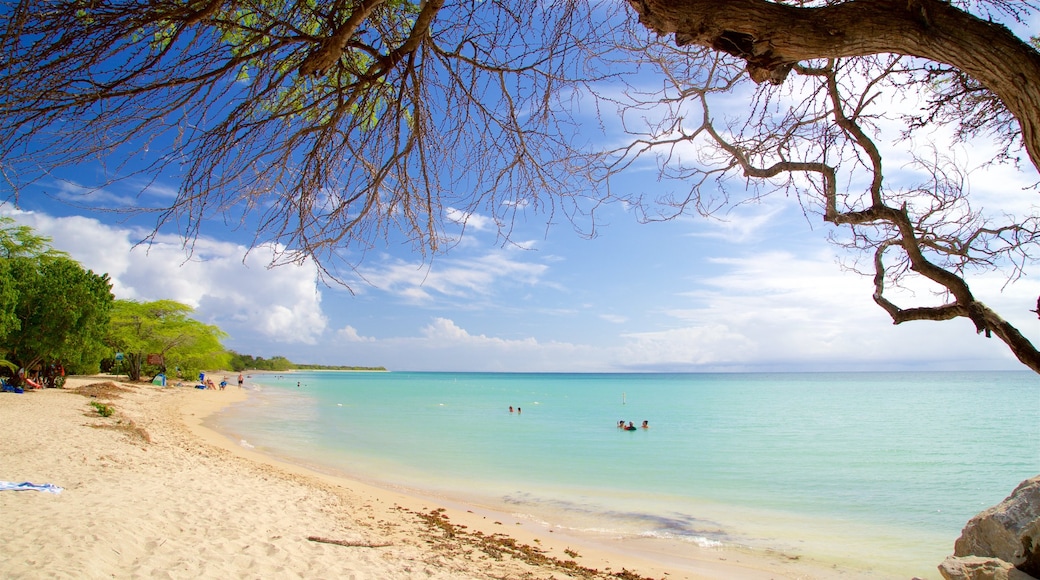 Cabo Rojo