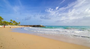 Condado, San Juan, Puerto Rico