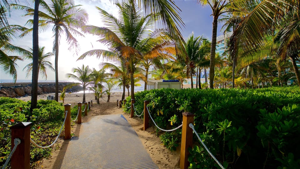 Condado