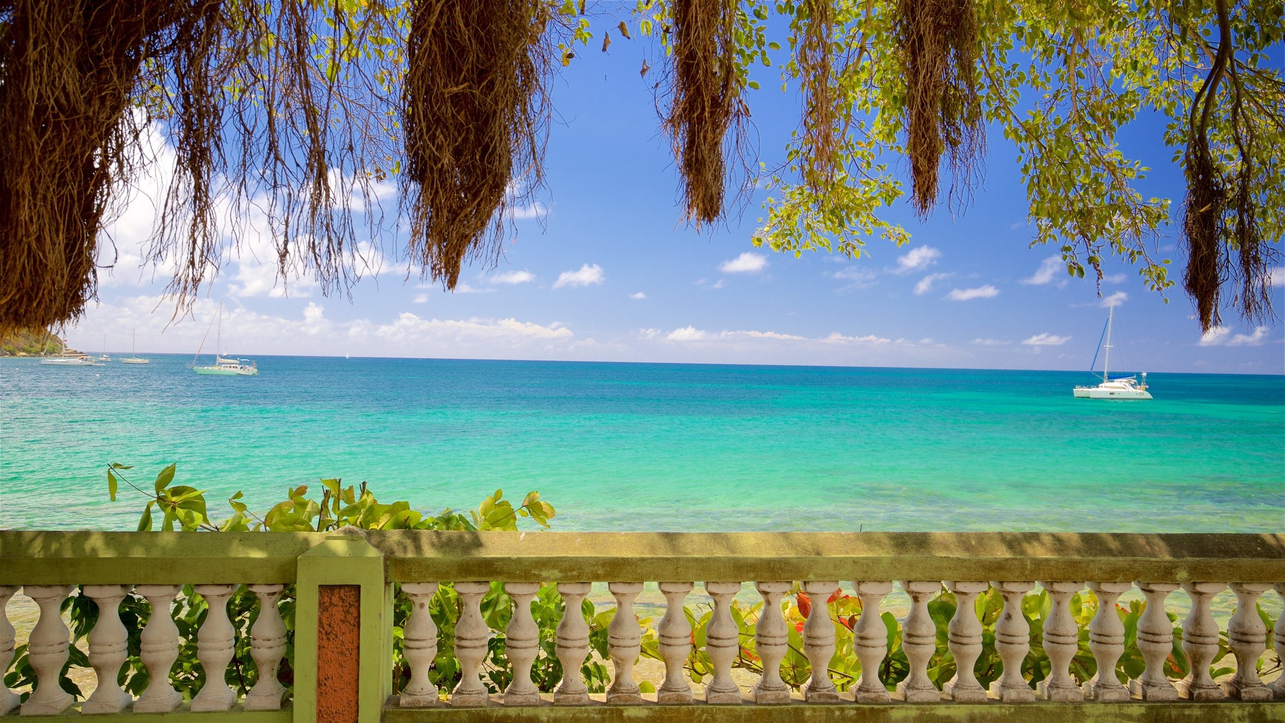 Visitez Esperanza le meilleur de Esperanza, Vieques pour 2024 Expedia