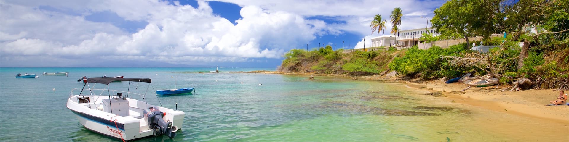 Vieques Ferry Terminal