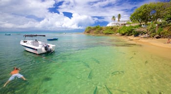 Vieques Ferry Terminal