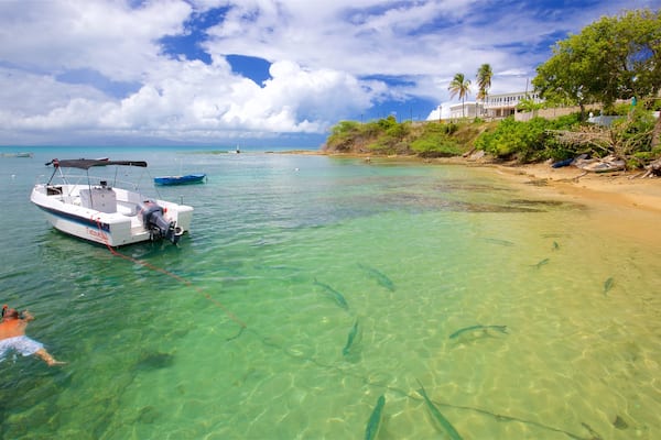 Vieques Ferry Terminal