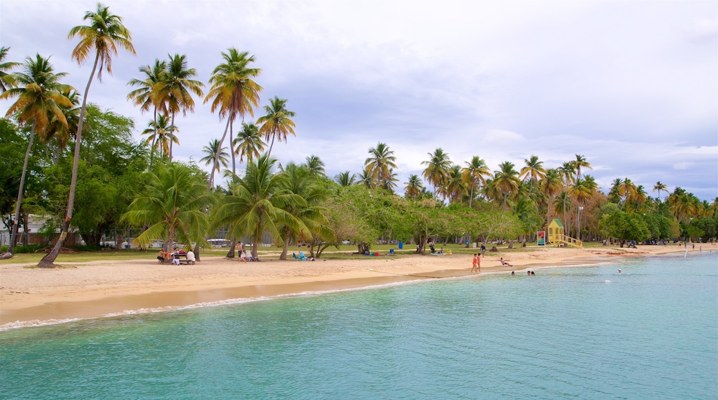 Boqueron Strand
