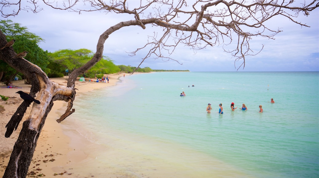 Playa El Combate