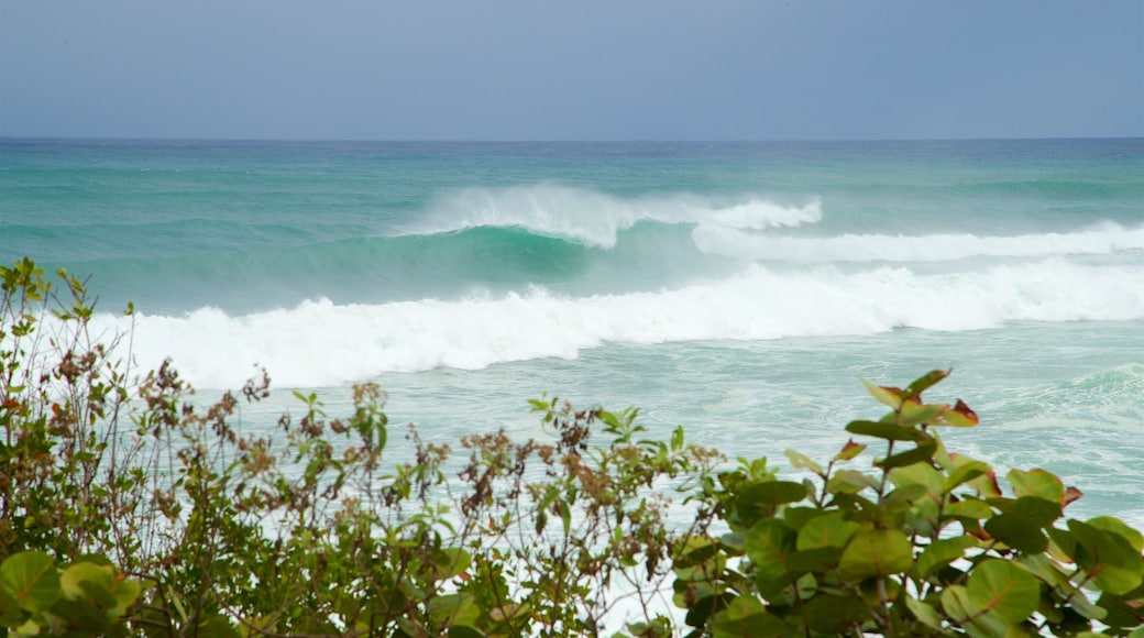 Playa Domes