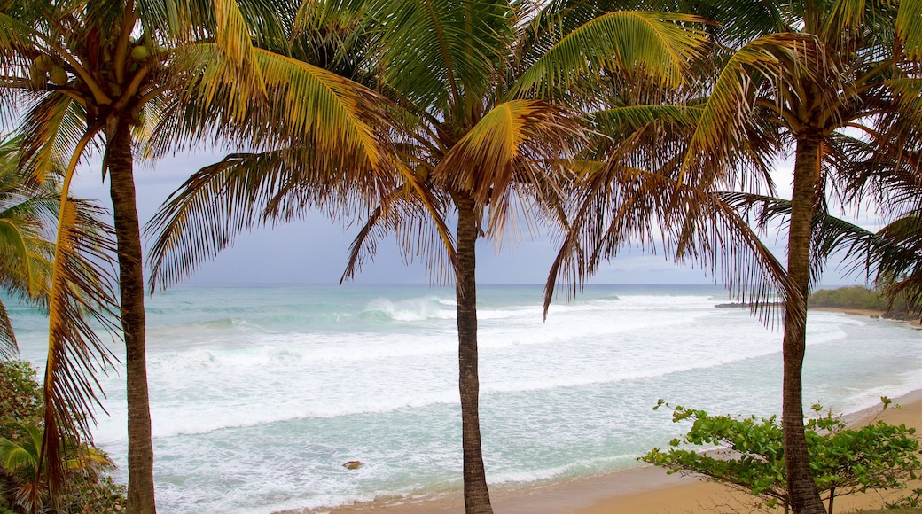 Playa Domes