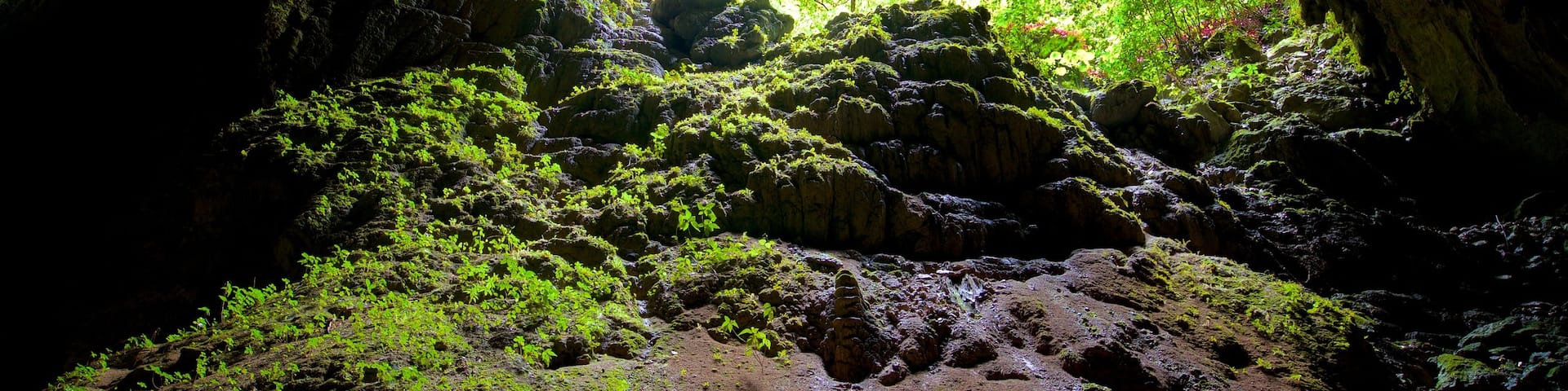 Rio Camuy Cave Park