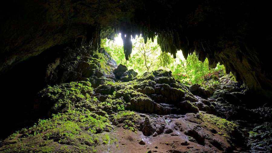 Parque de las Cavernas del Rio Camuy