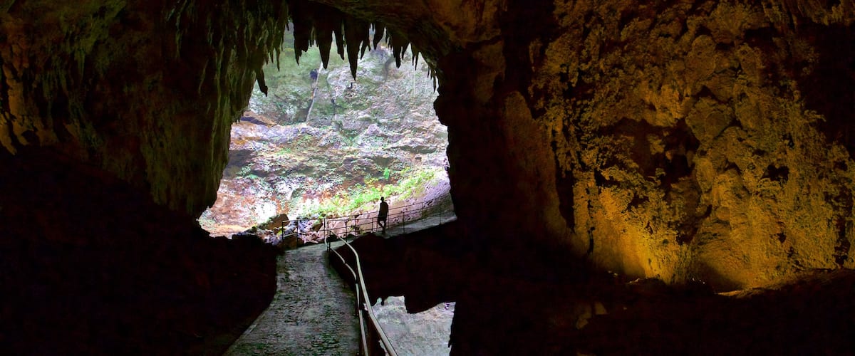 Parque de las Cavernas del Río Camuy