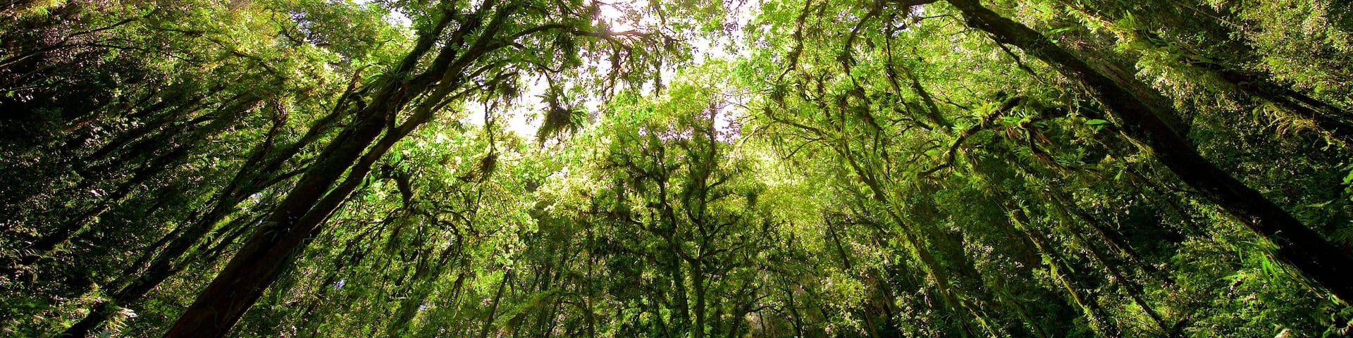 Rio Camuy Cave Park