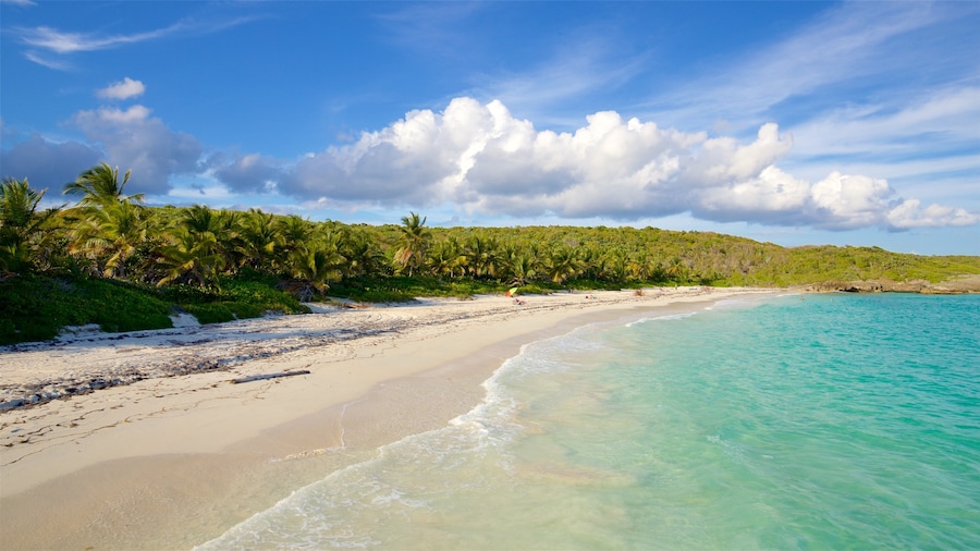 Navio Beach