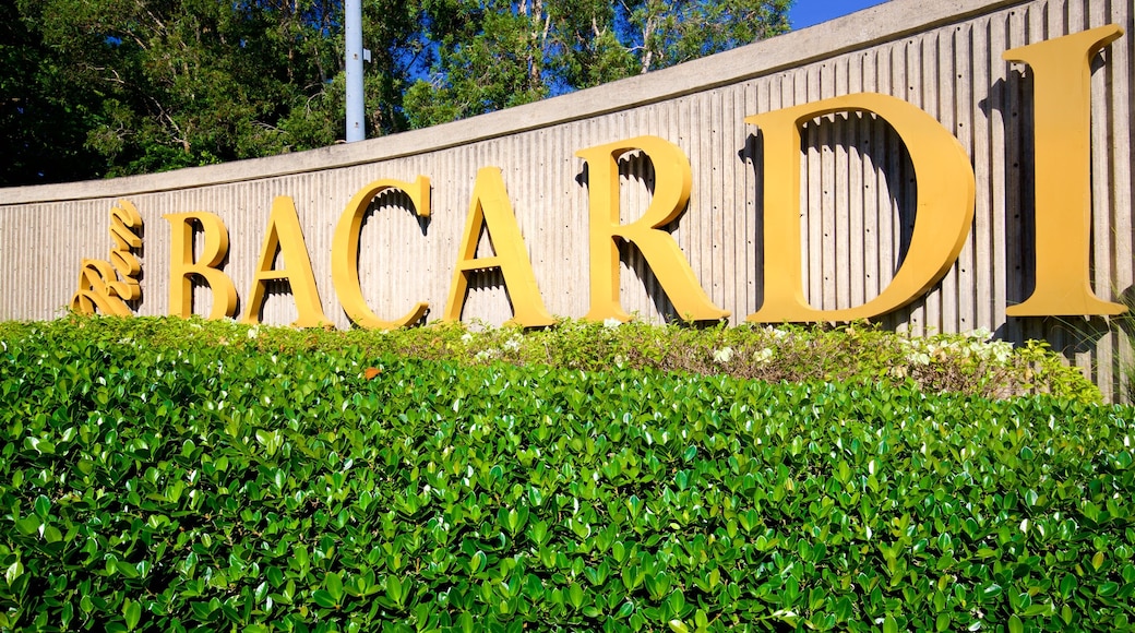 Casa Bacardi 酒廠