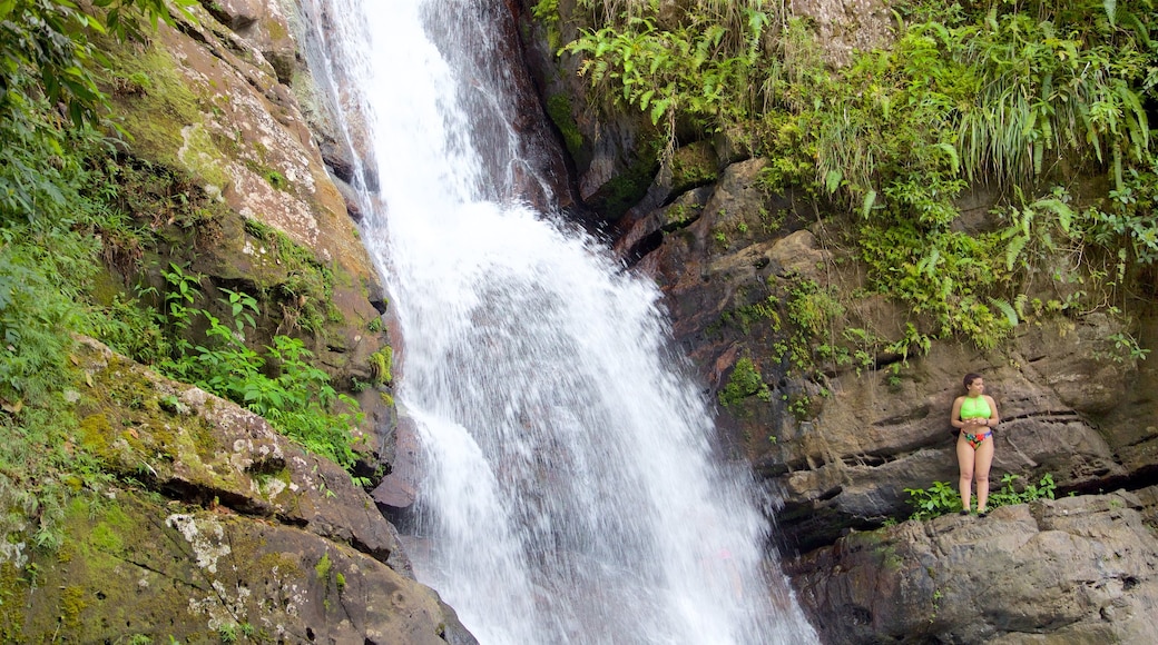 La Mina Falls