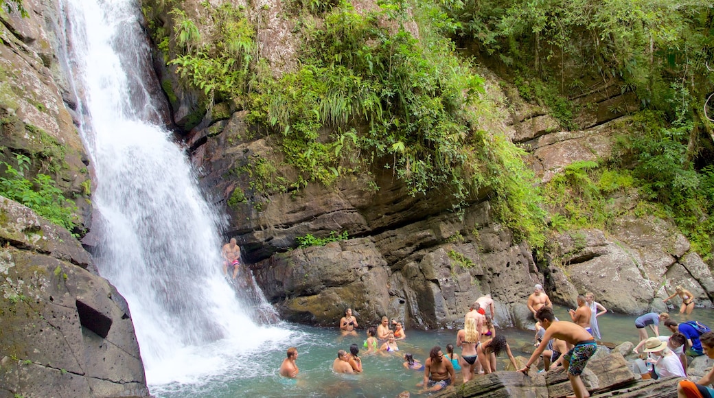 Cascada La Mina