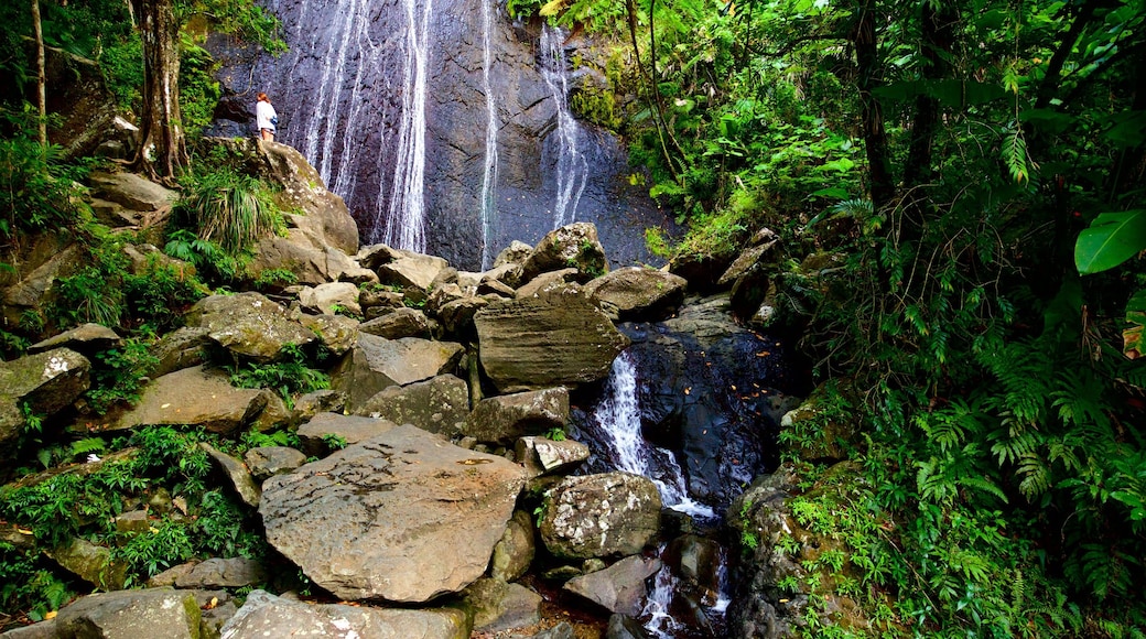 La Coca Falls