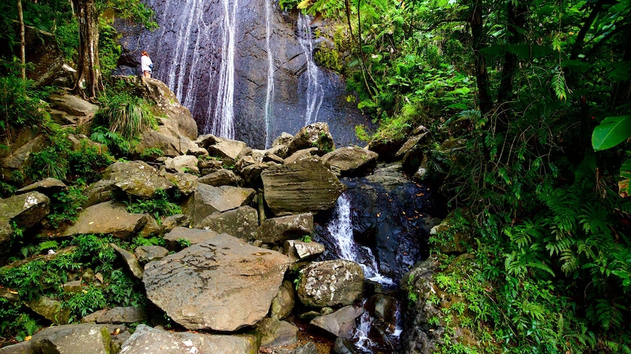 La Coca Falls
