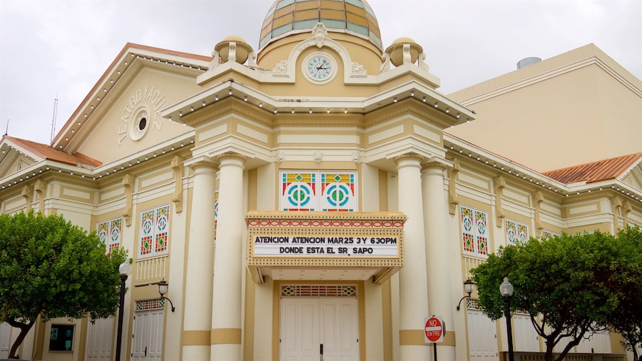 Mayaguez