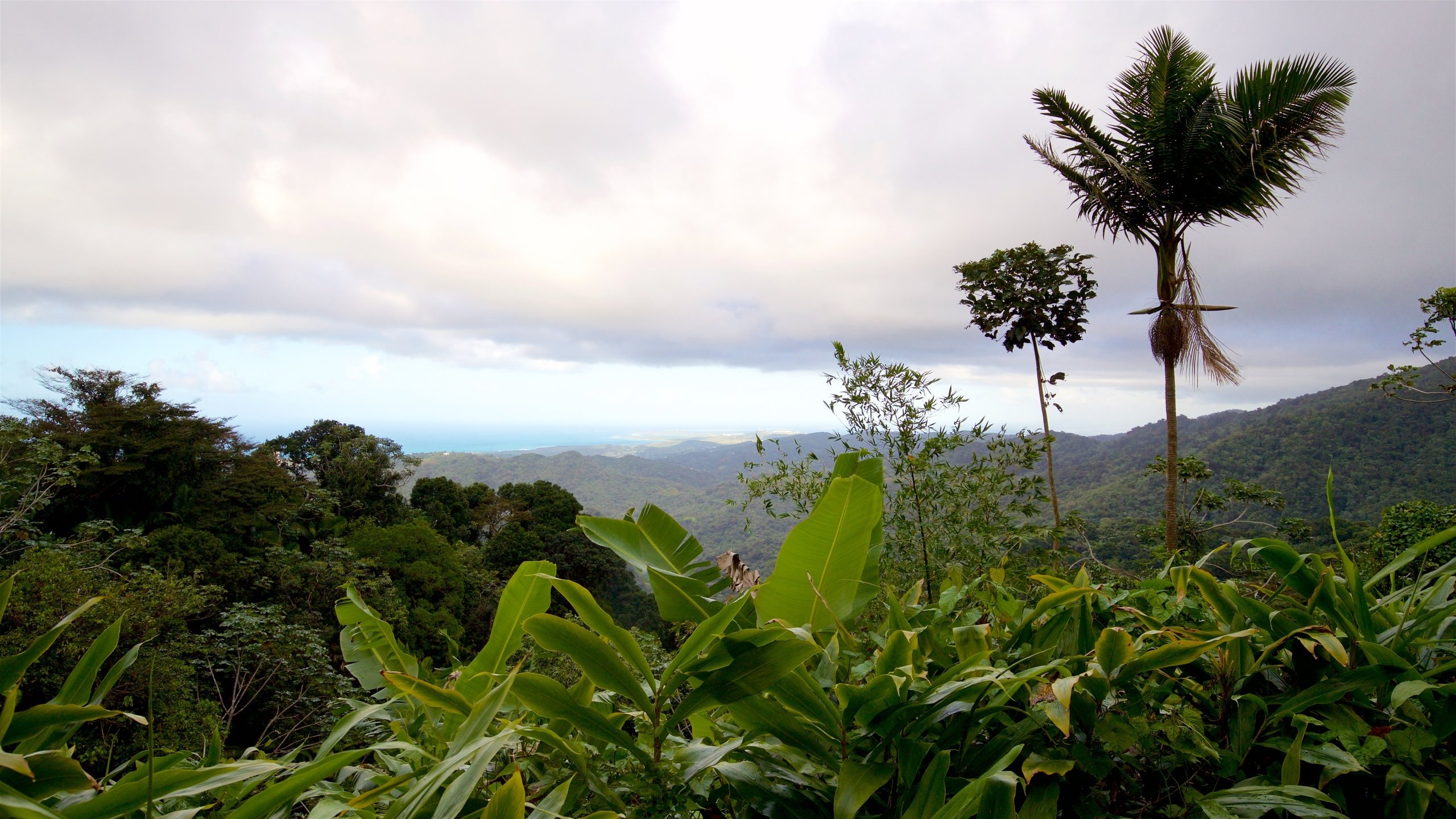 Yokahu Tower, Río Grande Vacation Rentals house rentals & more Vrbo