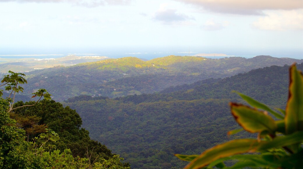 Yokahu Tower