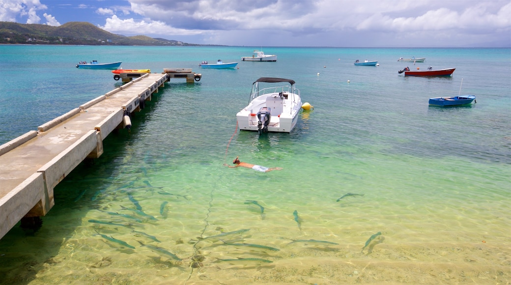 Vieques Ferry Terminal