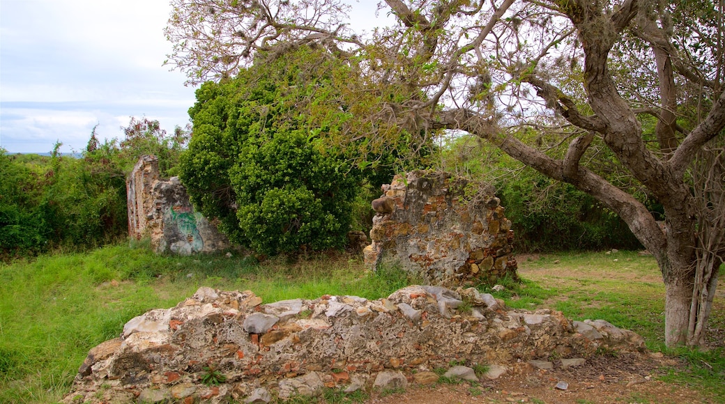 Tunel Guaniquilla