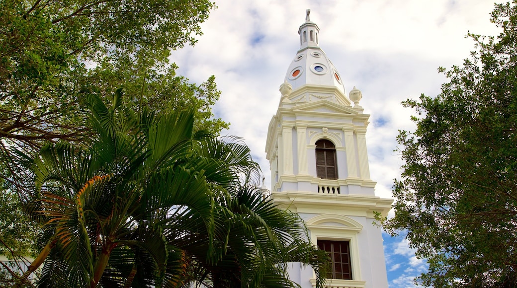 Cathedral of Our Lady of Guadalupe