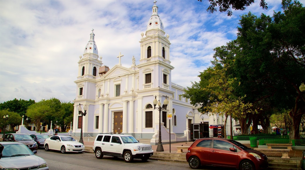 Cathedral of Our Lady of Guadalupe