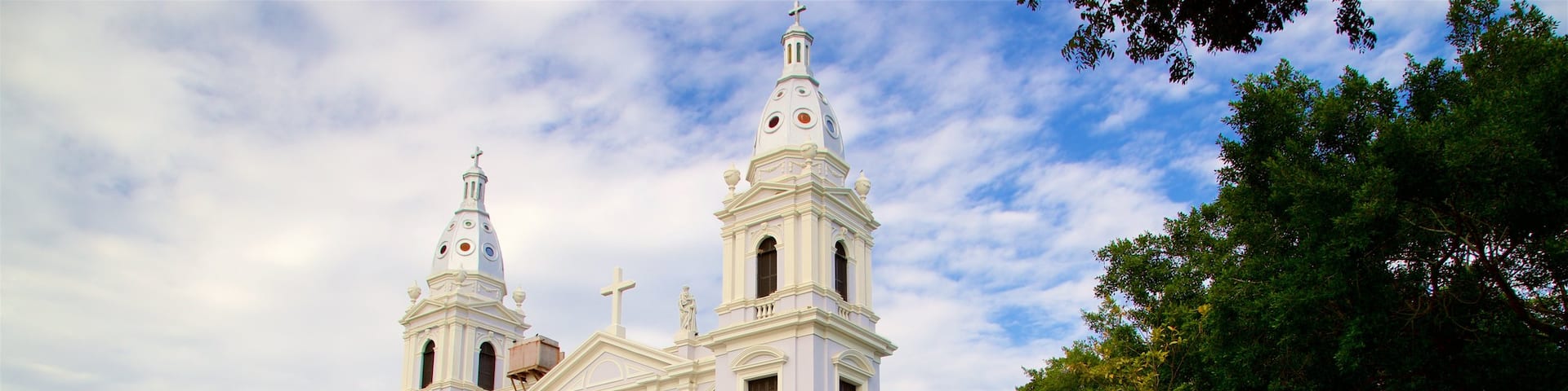 Cathedral of Our Lady of Guadalupe