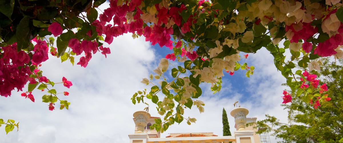 El Museo Castillo Serralles