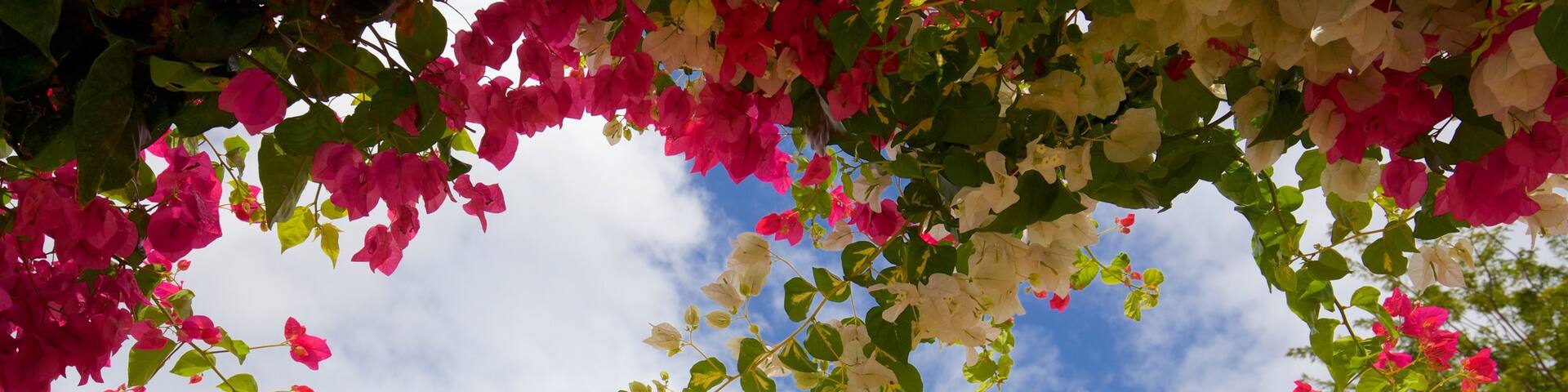 Museum Castillo Serralles